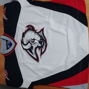 Buffalo Sabres vintage jersey NHL